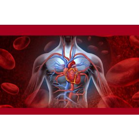 SZÍV ÉS ÉRRENDSZER