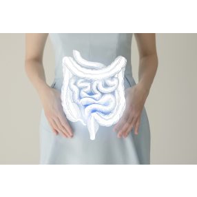 BÉLRENDSZER EGÉSZSÉGE